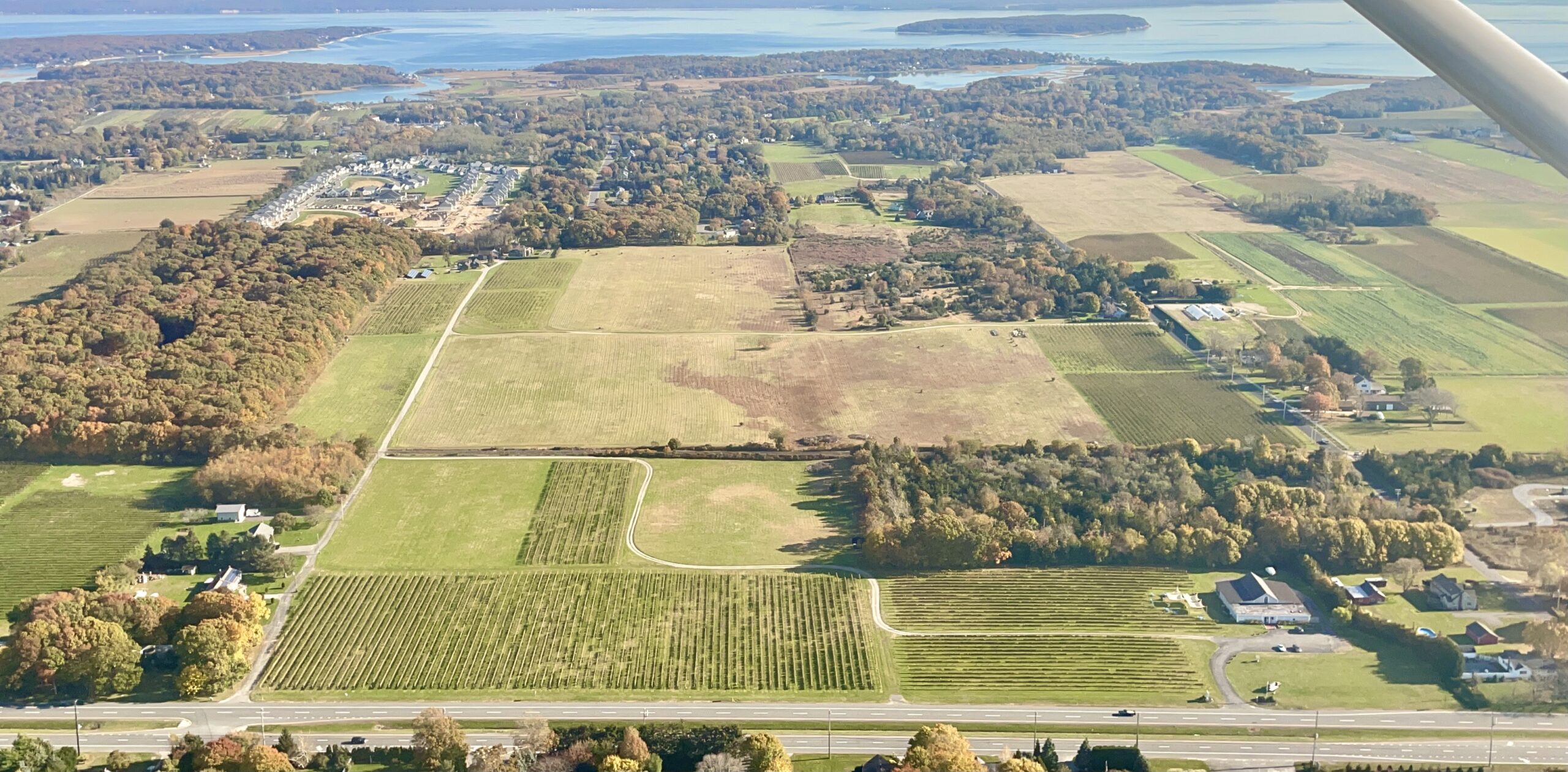 Aerial view of Borghese Vineyard in Cutchogue