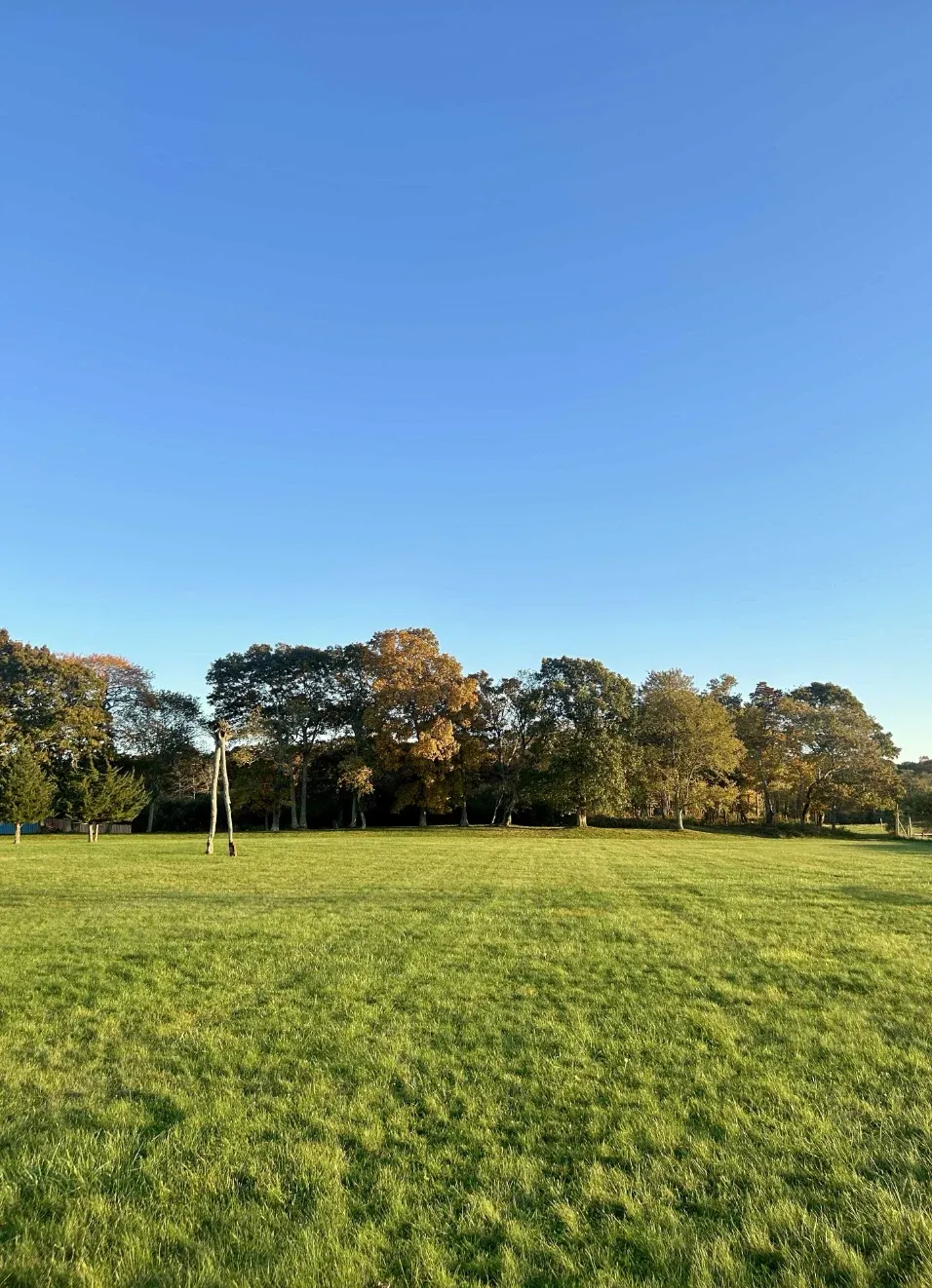 Sculpture Garden lawn at Channing Daughters in Bridgehampton