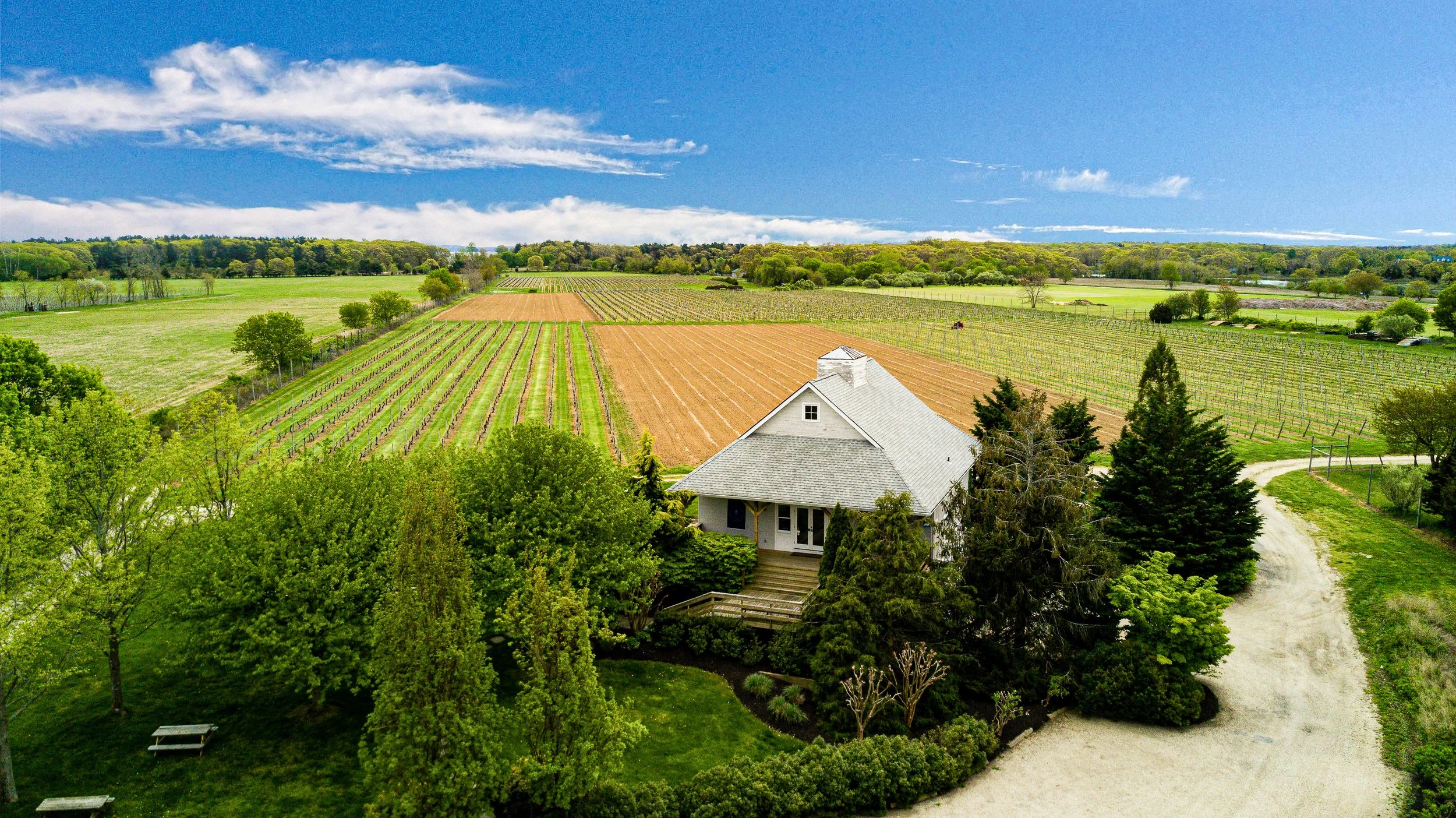 Aerial view of Corey Creek Tap Room and vineyard in Southold