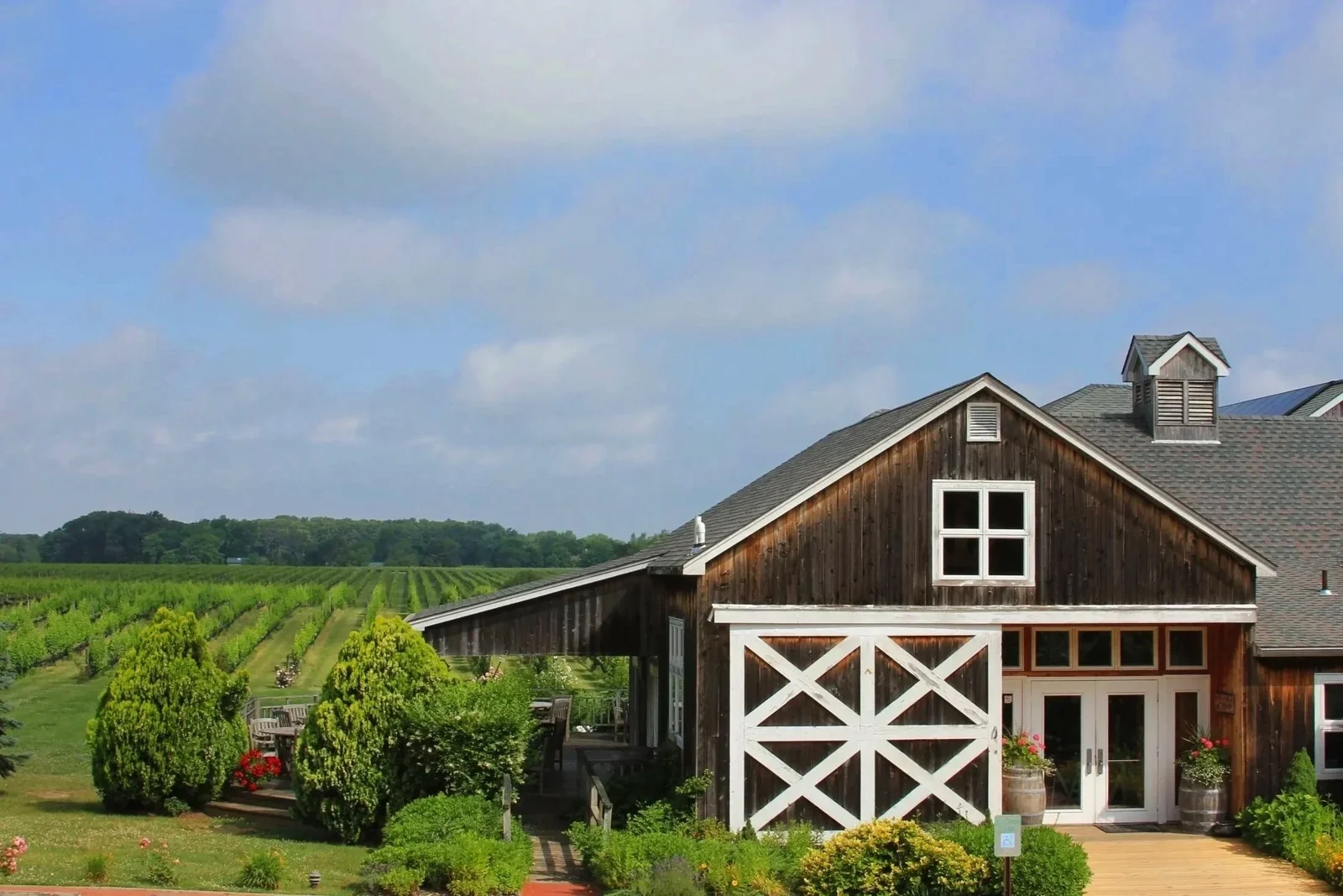 Paumanok winery and vineyard