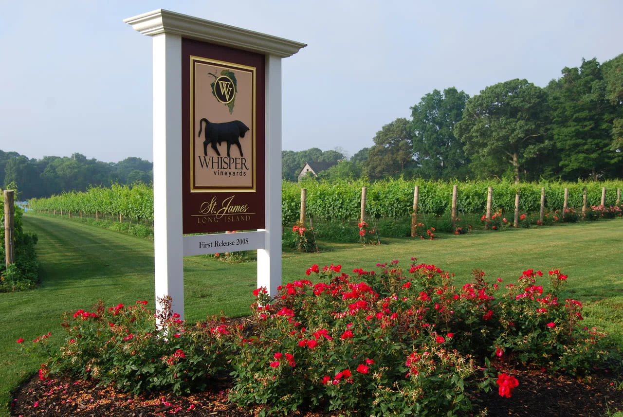 Whisper Vineyards sign and vineyard rows in St. James