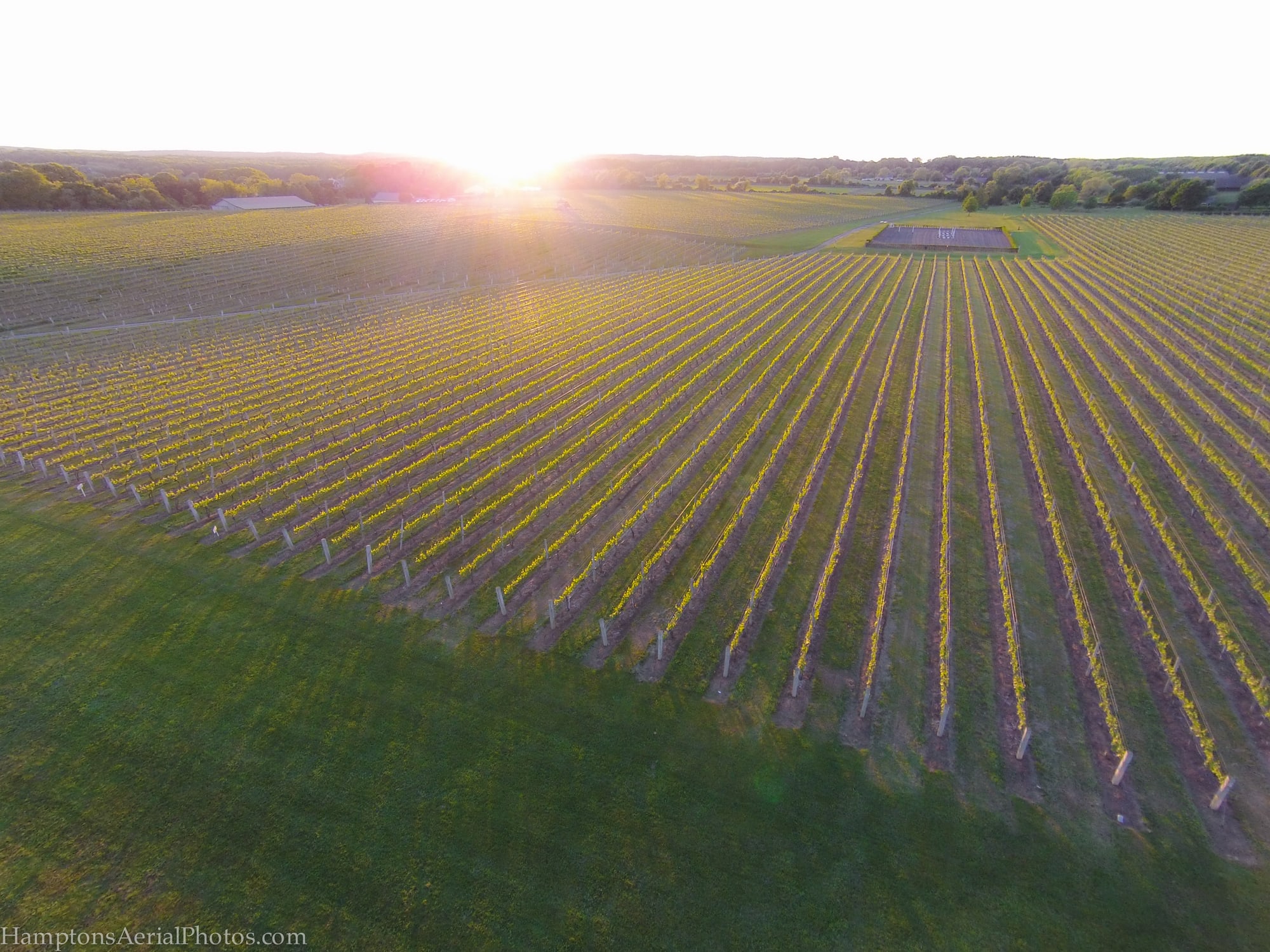Wölffer Estate Vineyard in Sagaponack, Long Island